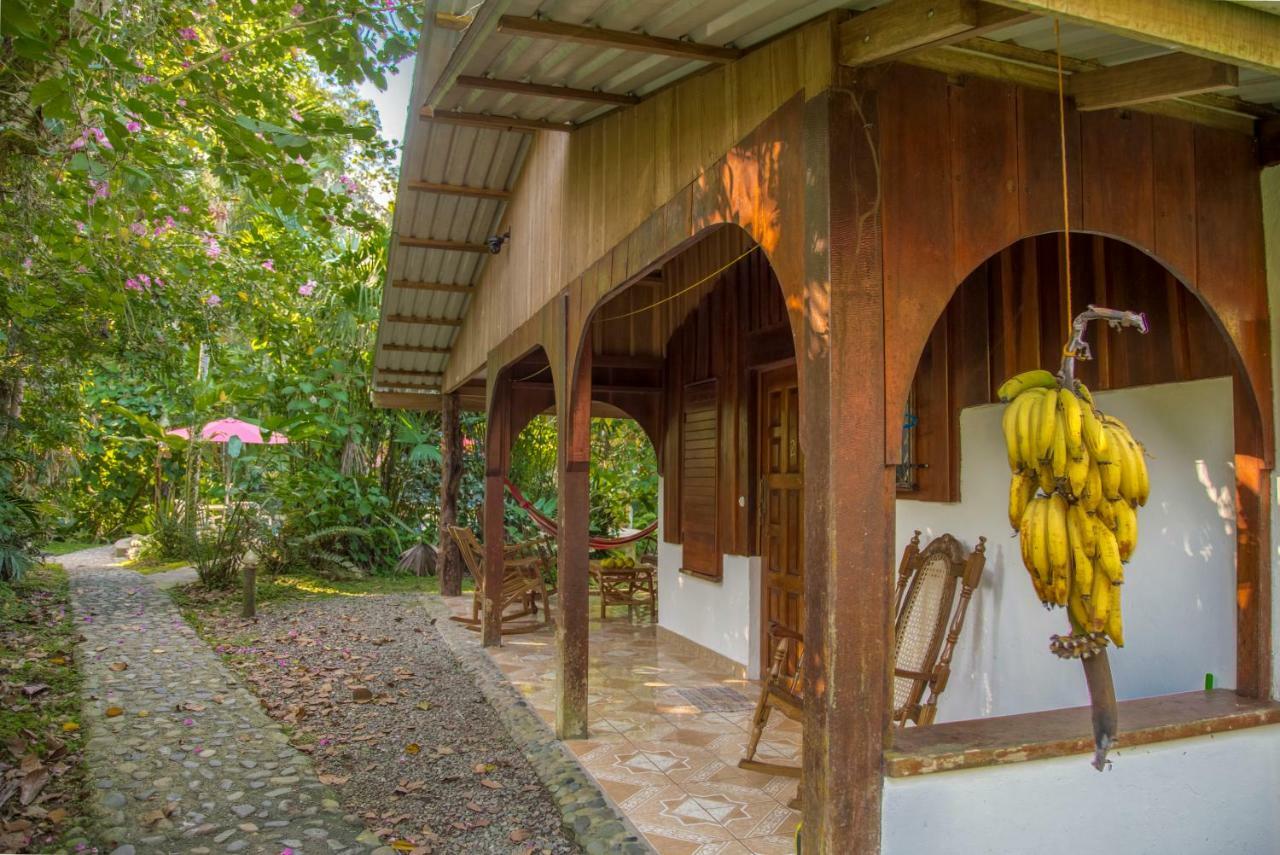 Cabinas Iguana Cahuita Exteriér fotografie